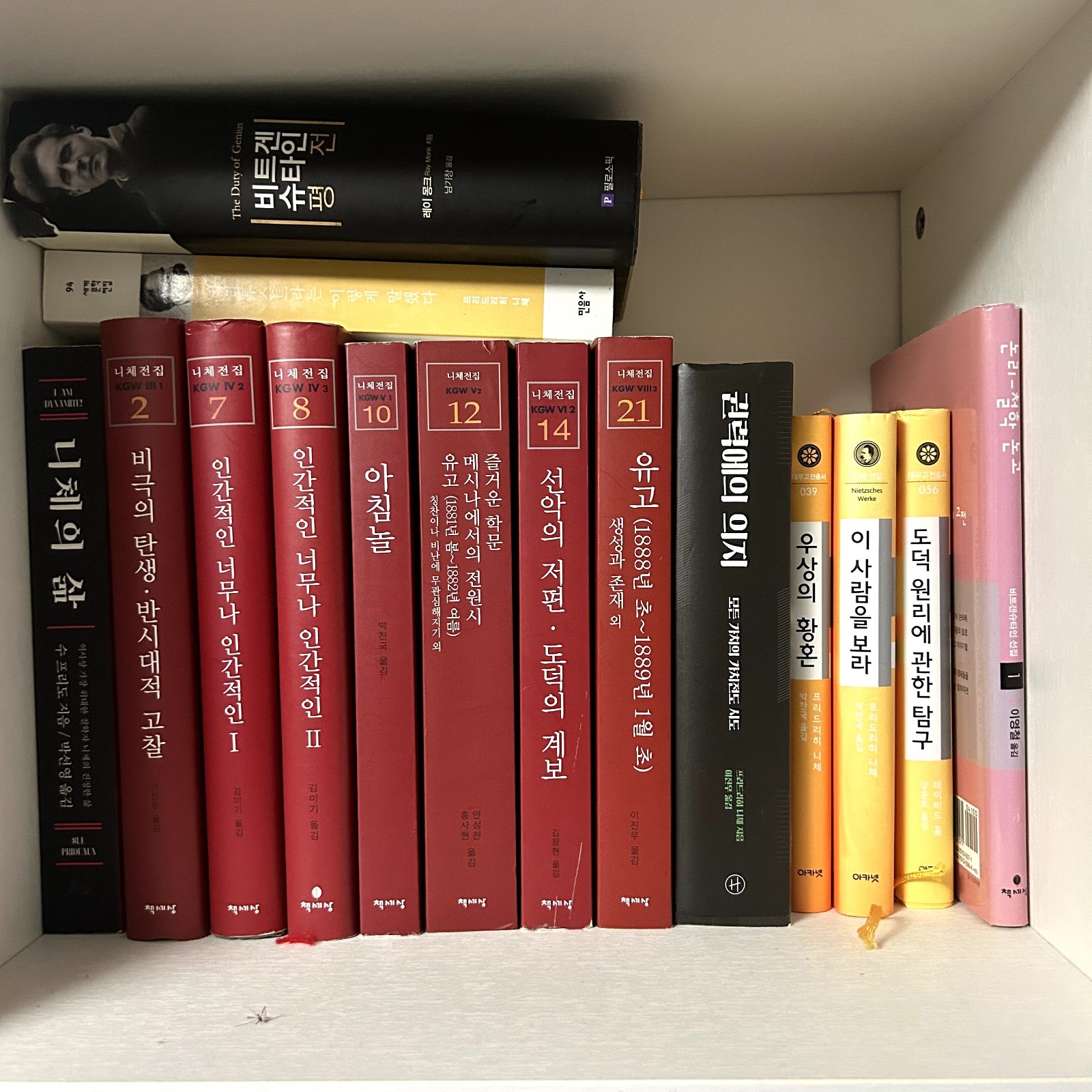 2026년 8월 보유 도서