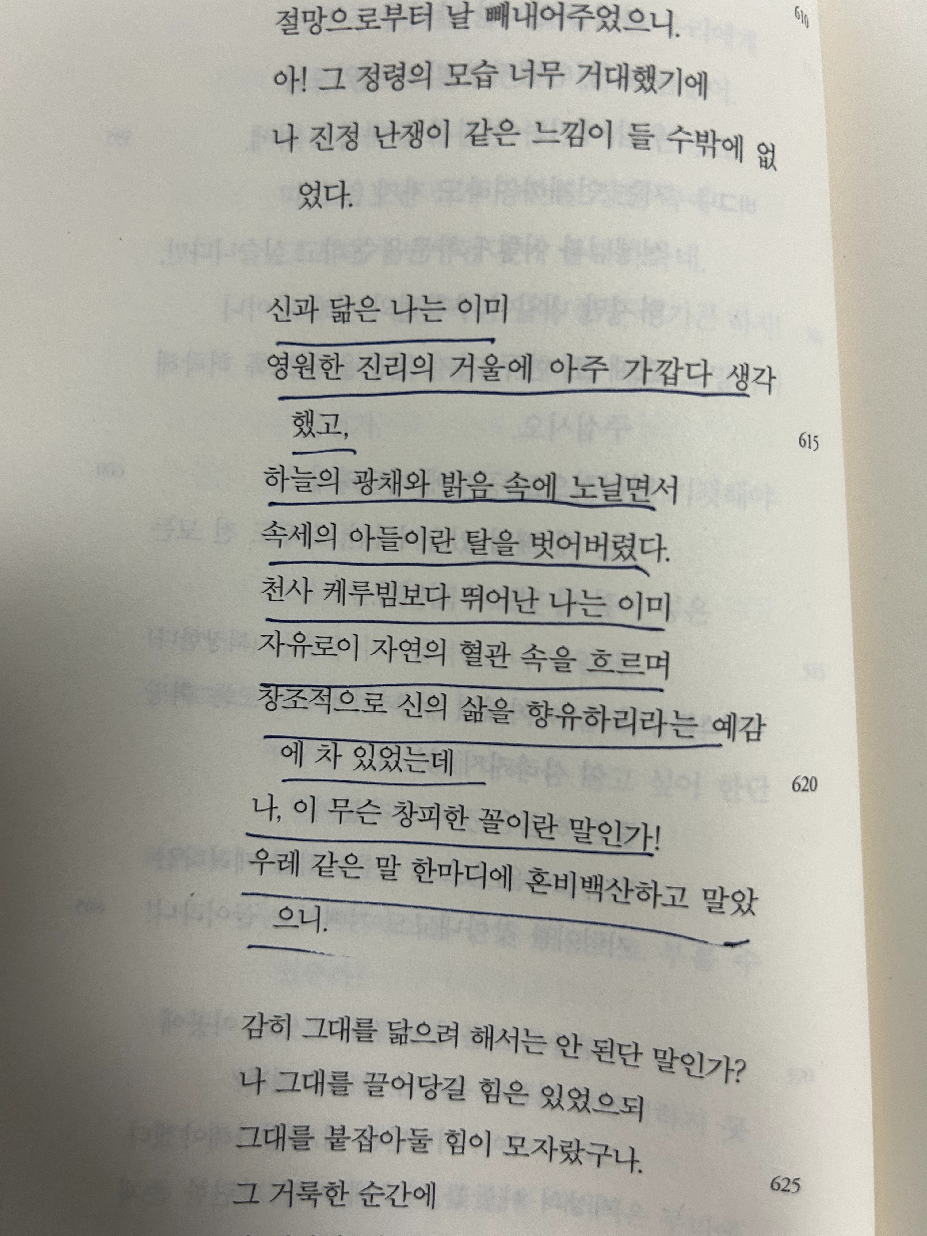 인간은 노력하는 한 방황한다 - '파우스트'를 읽고