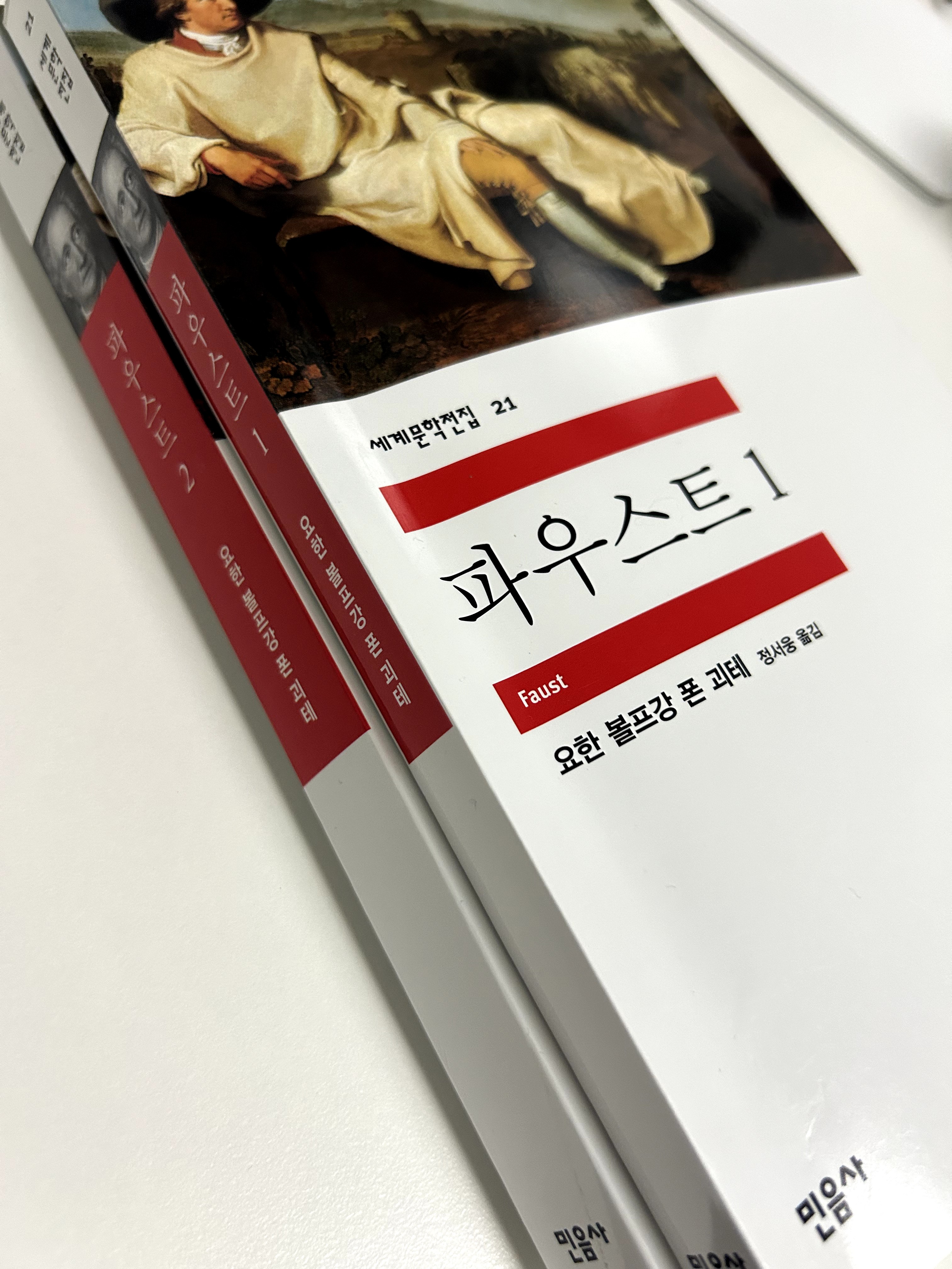 인간은 노력하는 한 방황한다 - '파우스트'를 읽고