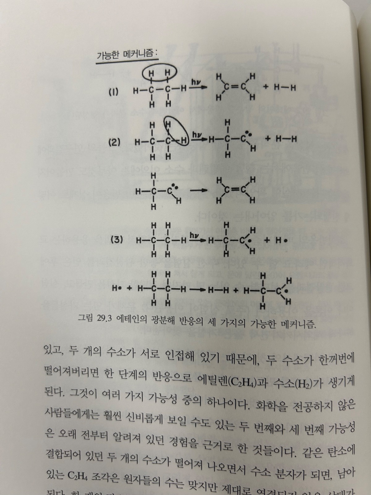 '같기도 하고 아니 같기도 하고'를 읽고 (사진 4)