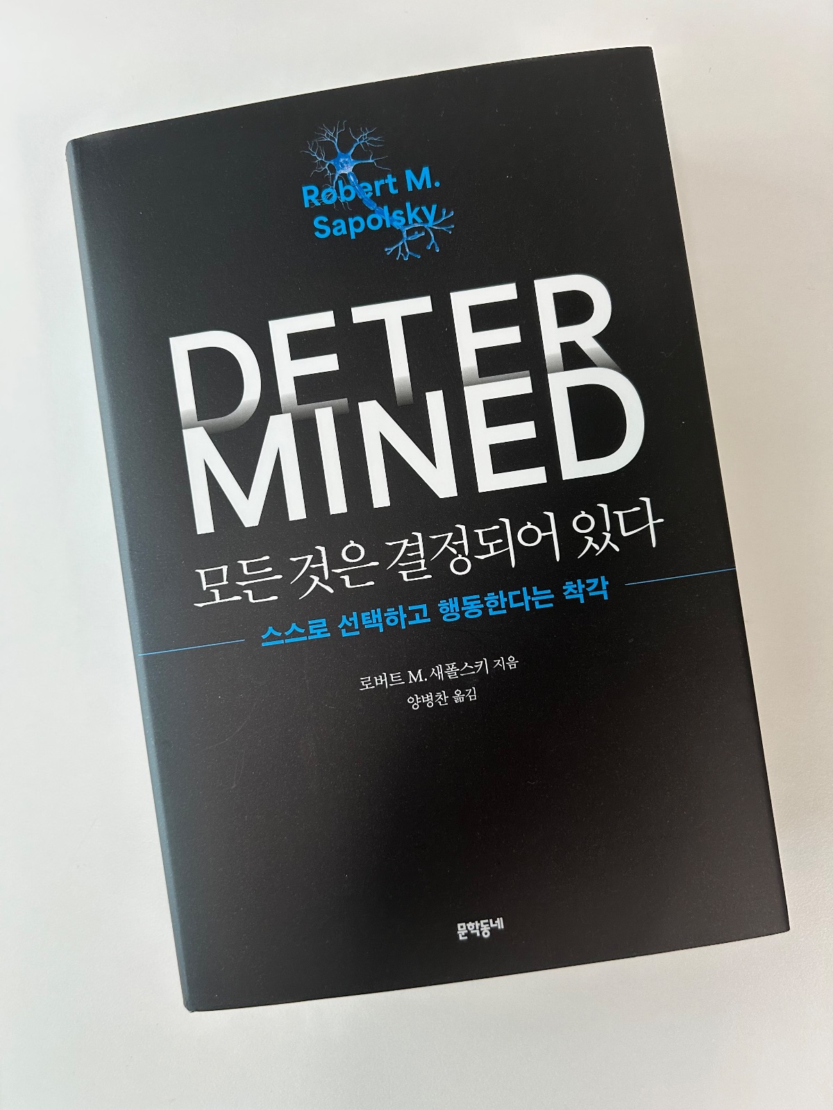 '모든 것은 결정되어 있다'를 읽고