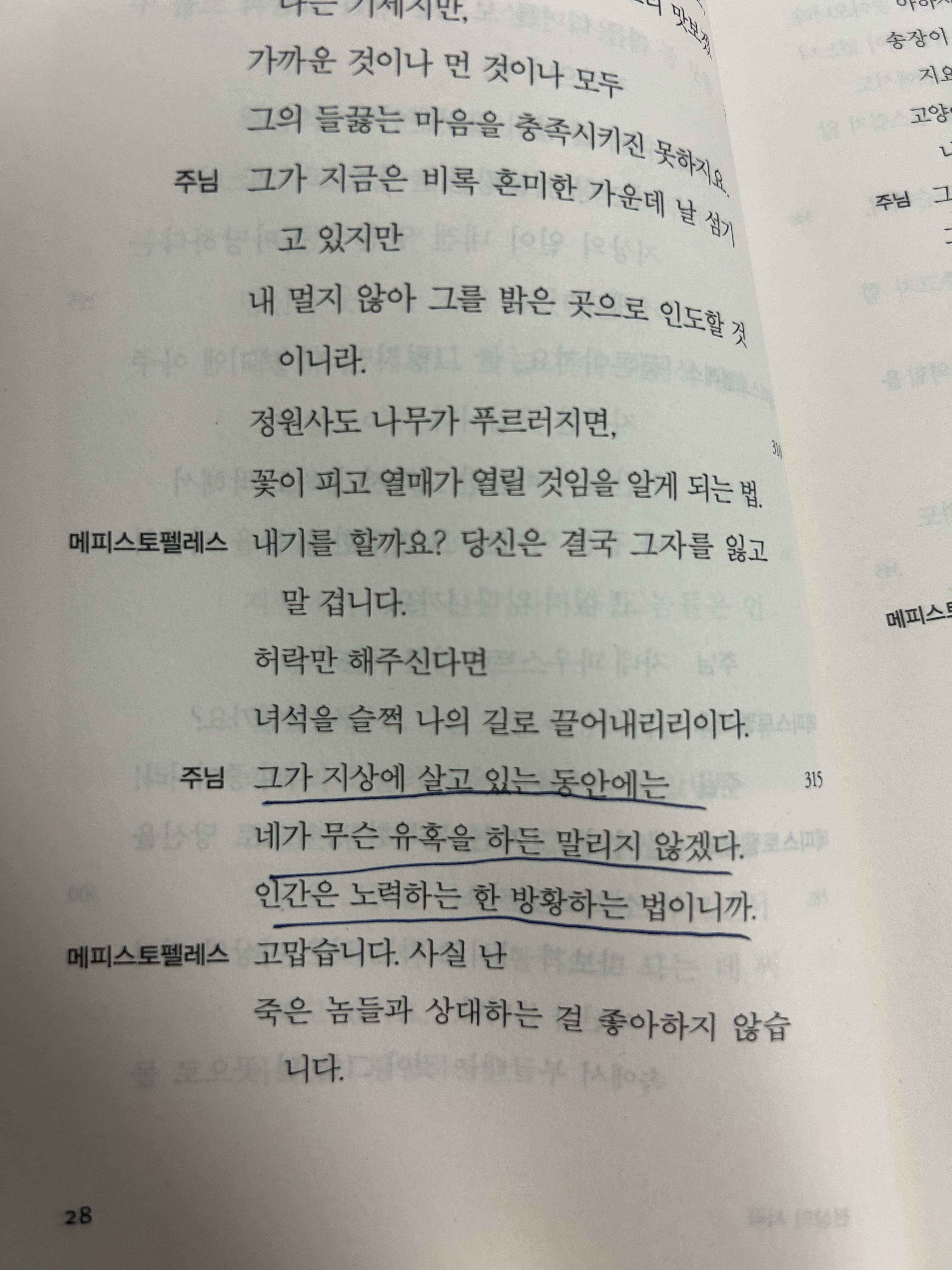 인간은 노력하는 한 방황한다 - '파우스트'를 읽고